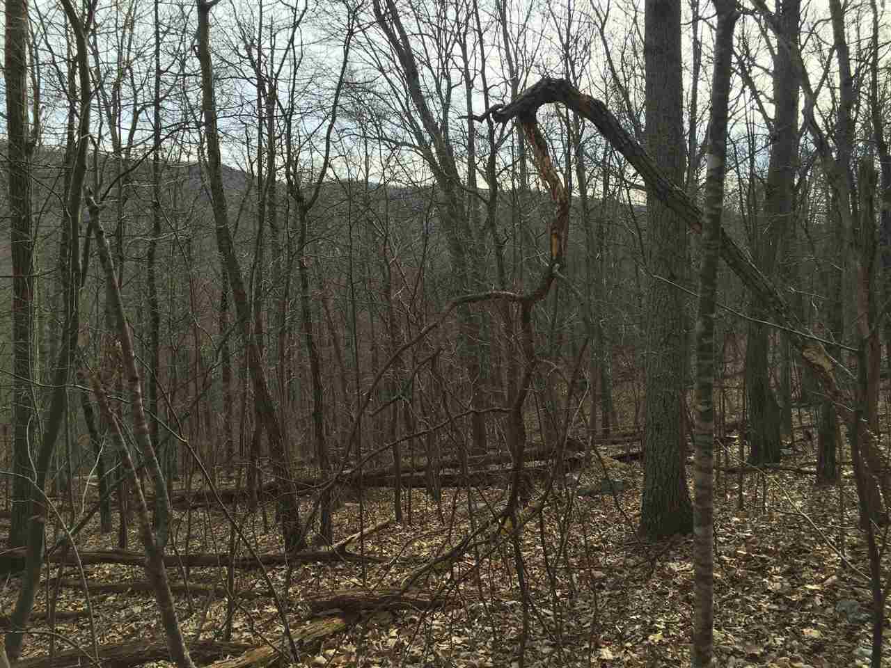 0 Risk Road Mount Jackson, VA 22842 - Photo 8 of 11 a view of a backyard
