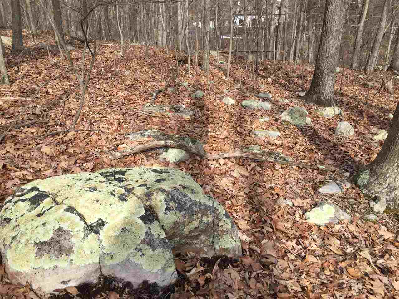 0 Risk Road Mount Jackson, VA 22842 - Photo 9 of 11 a view of a yard with a trees
