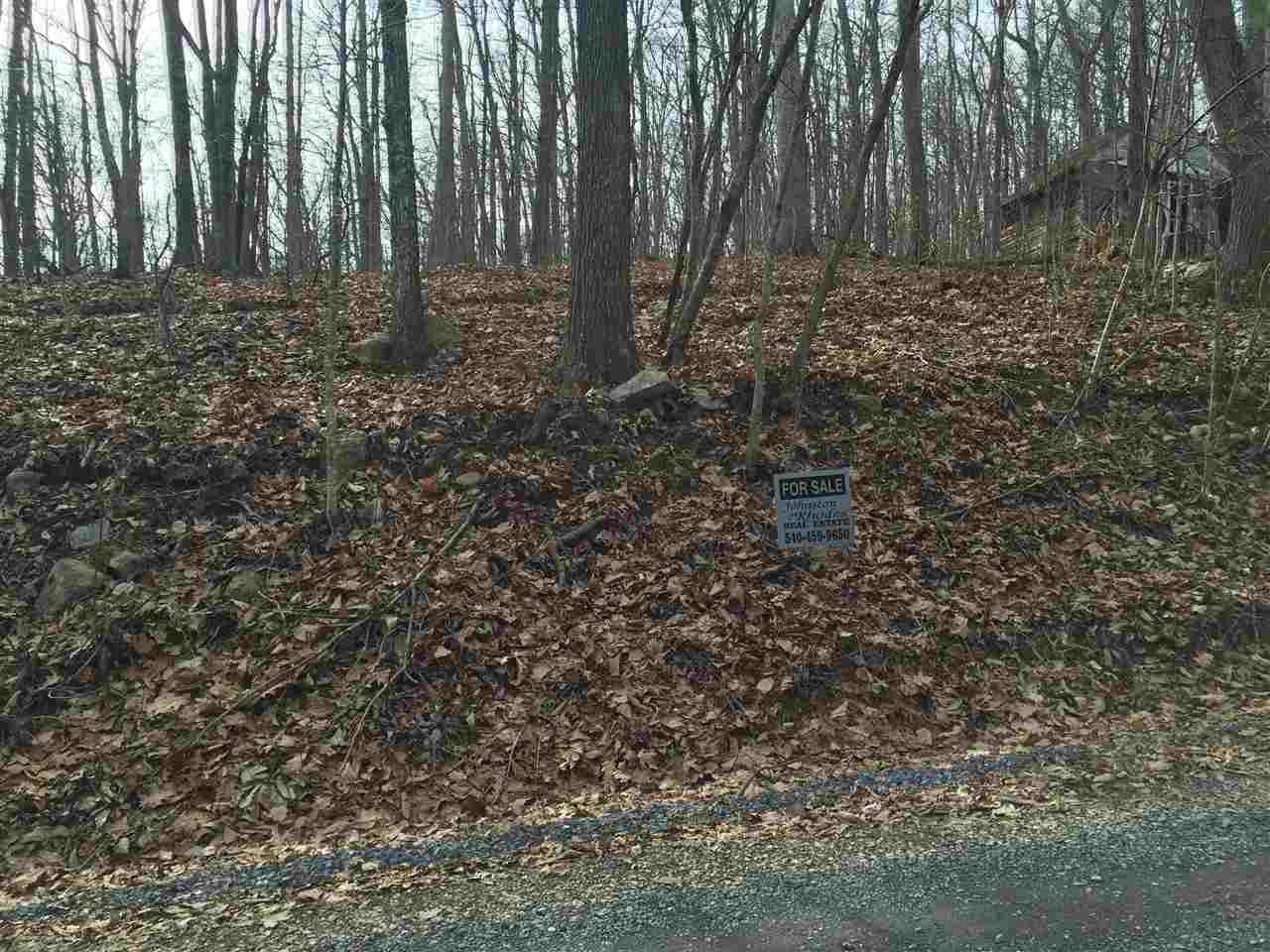 0 Risk Road Mount Jackson, VA 22842 - Photo 10 of 11 a view of backyard with green space