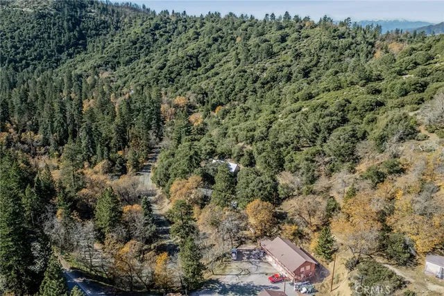 a view of a forest with a street