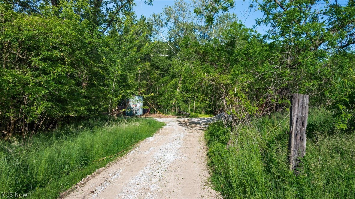 5911 Reform Road Northeast Newark, OH 43055 - Photo 7 of 19 Gravel driveway with abundant natural foliage and a visible wooden post