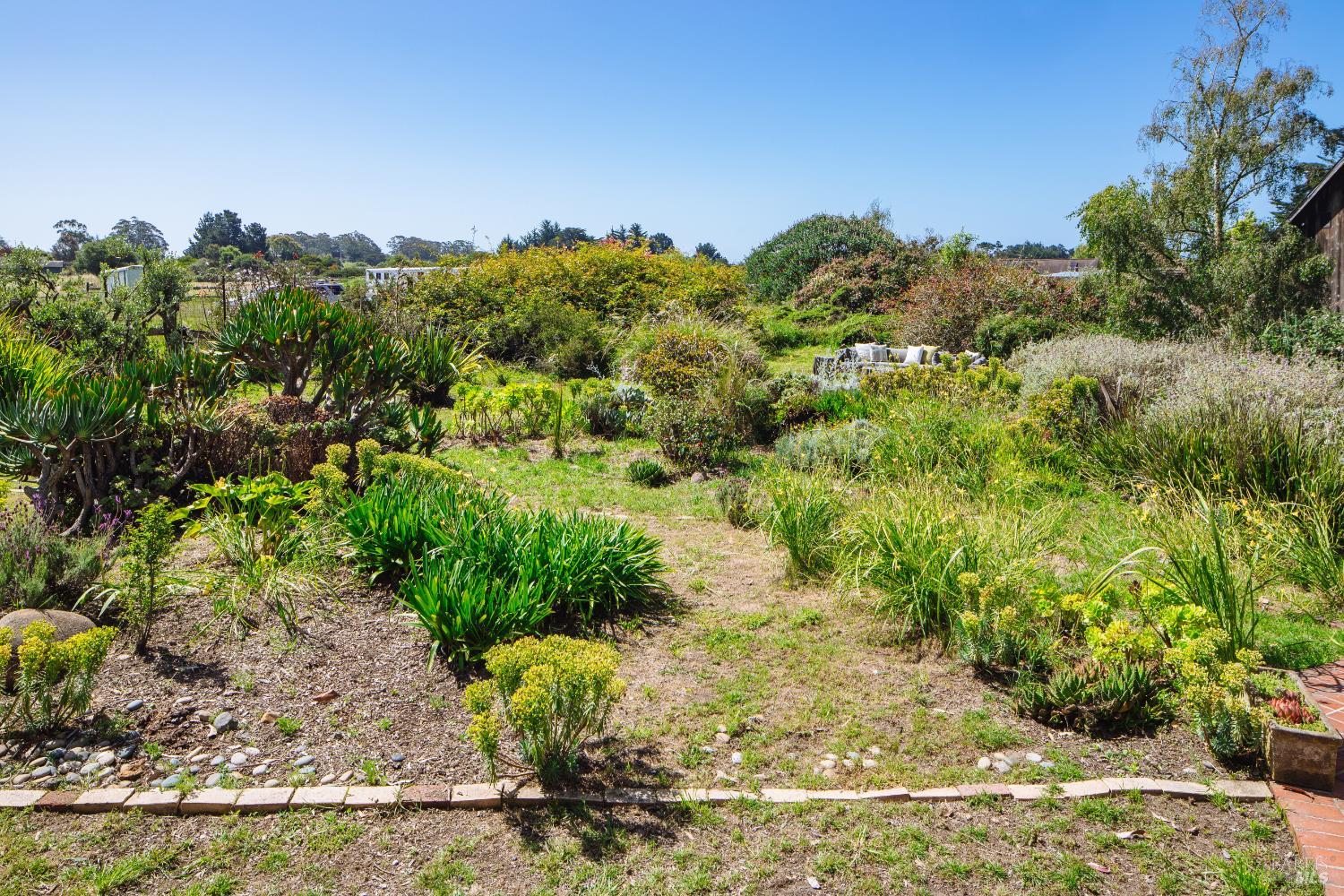 585 Evergreen Road Bolinas, CA 94924 - Photo 33 of 58
