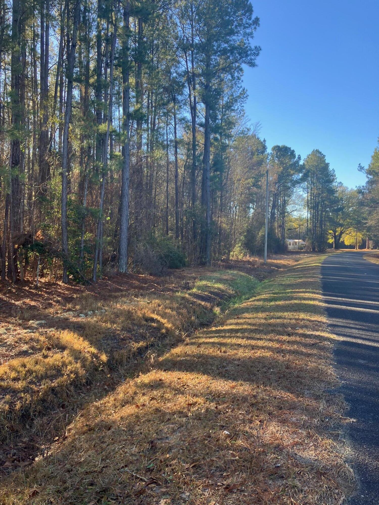 0 Pine Grove Road Ruffin, SC 29475 - Photo 2 of 7 Pine Grove Rd