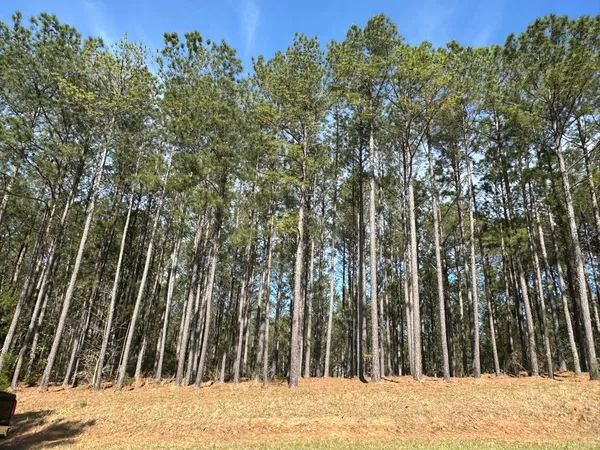 $150,000 | Lot 65 Maiden Cane Way, Lincolnton, GA 30817