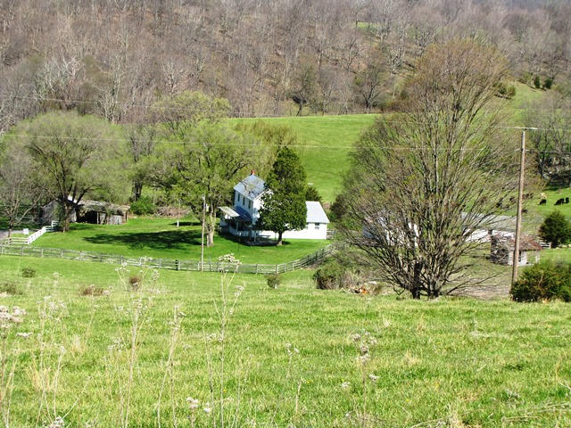2091 Pete Amos Road Lindside, WV 24951 - Photo 40 of 54 Gallery Image 40