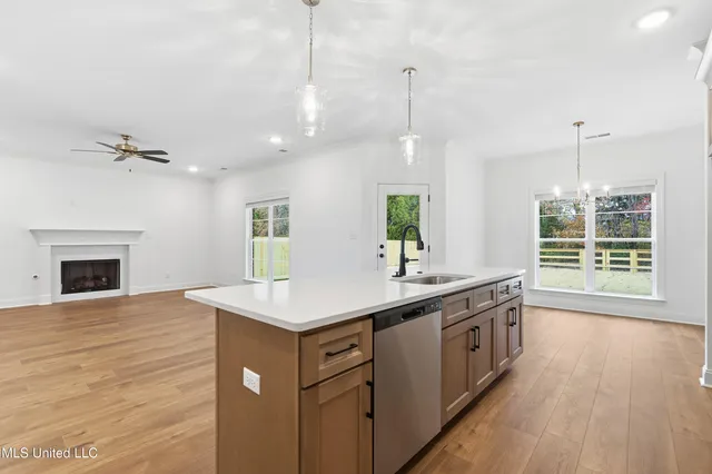 $447,900 | 1418 Crk Hvn Drive, Hernando, MS 38632