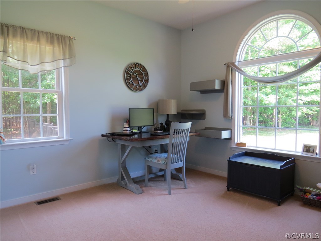15822 Springfield Drive Disputanta, VA 23842 - Photo 38 of 43 Gallery Image 38