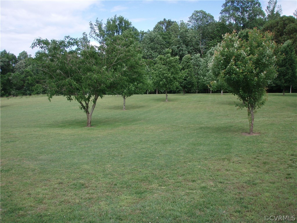 15822 Springfield Drive Disputanta, VA 23842 - Photo 10 of 43 Back yard
