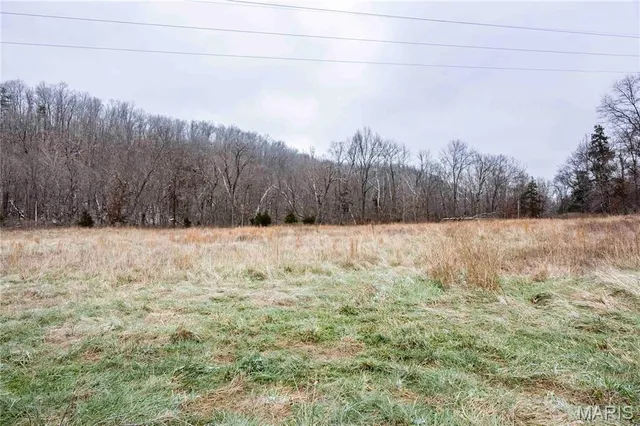 $1 | 26442 Highway 49, Lesterville, MO 63654