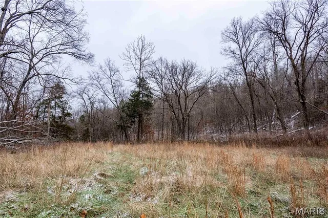 $1 | 26442 Highway 49, Lesterville, MO 63654