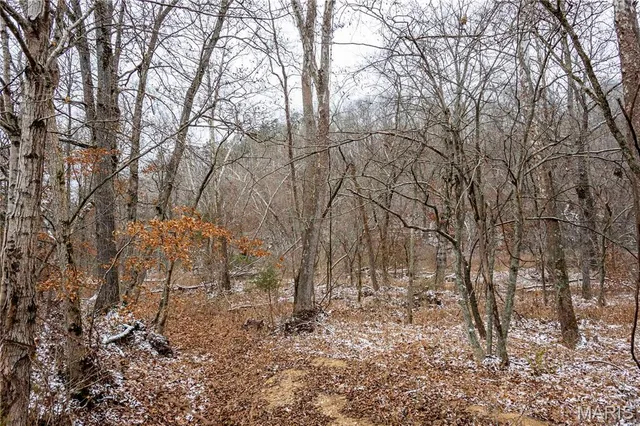 $1 | 26442 Highway 49, Lesterville, MO 63654