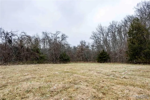 $1 | 26442 Highway 49, Lesterville, MO 63654