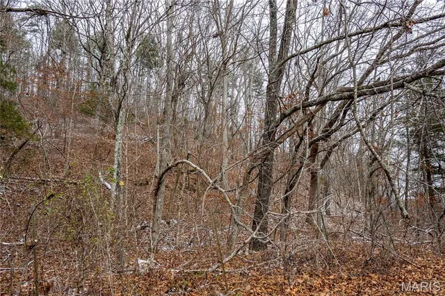 $1 | 26442 Highway 49, Lesterville, MO 63654