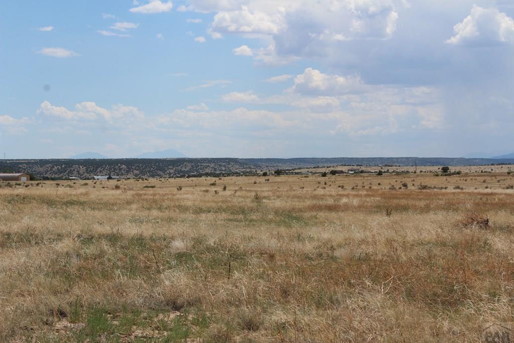 Lot 20 Eagle Ranch Road Eagle, CO 81631 - Photo 2 of 10 Gallery Image 2