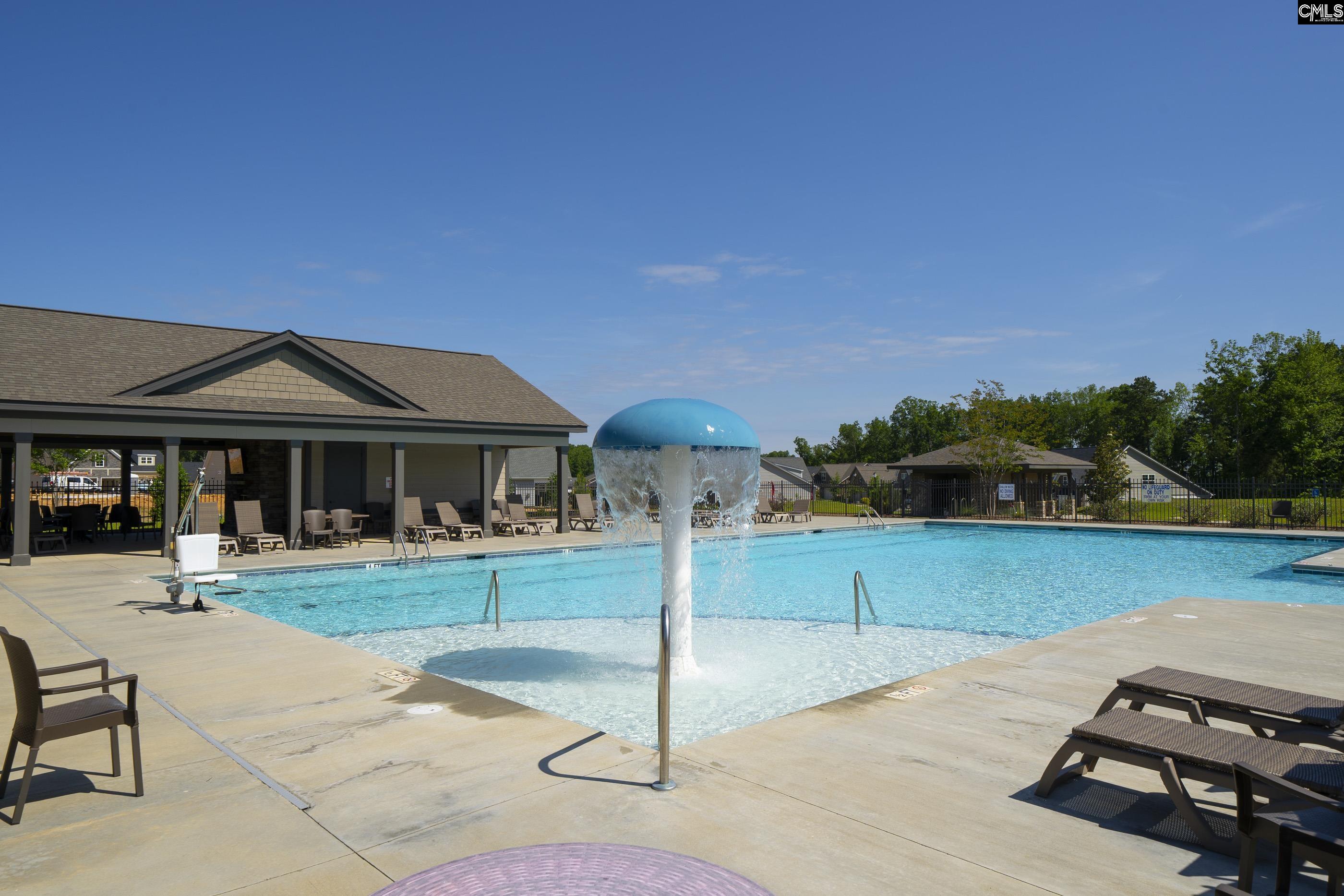 515 Malachite Lane Chapin, SC 29036 - Photo 58 of 63 a front view of a house with garden