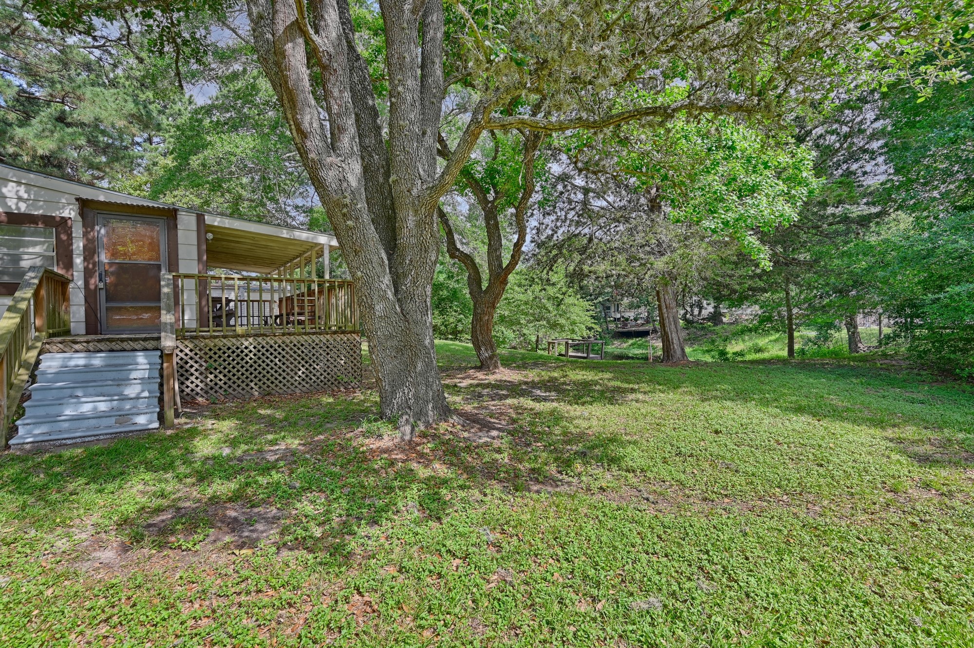 11200 Leisure Road Brenham, TX 77833 - Photo 11 of 23 a view of a backyard with a tree