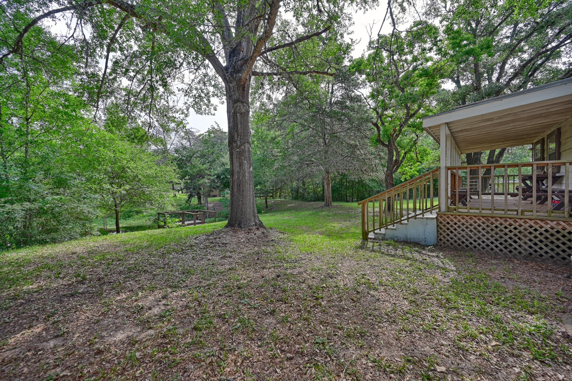 11200 Leisure Road Brenham, TX 77833 - Photo 12 of 23 a view of a park with a large tree