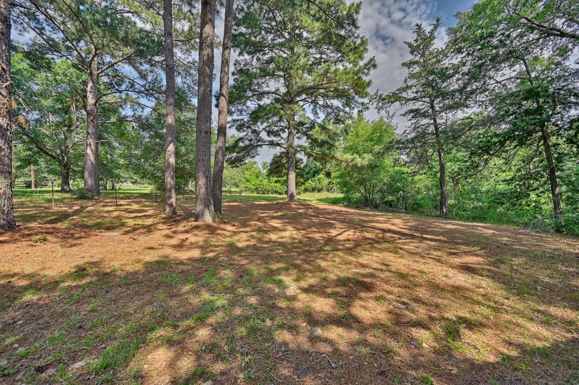 11200 Leisure Road Brenham, TX 77833 - Photo 4 of 23 a view of a field with trees in front of it