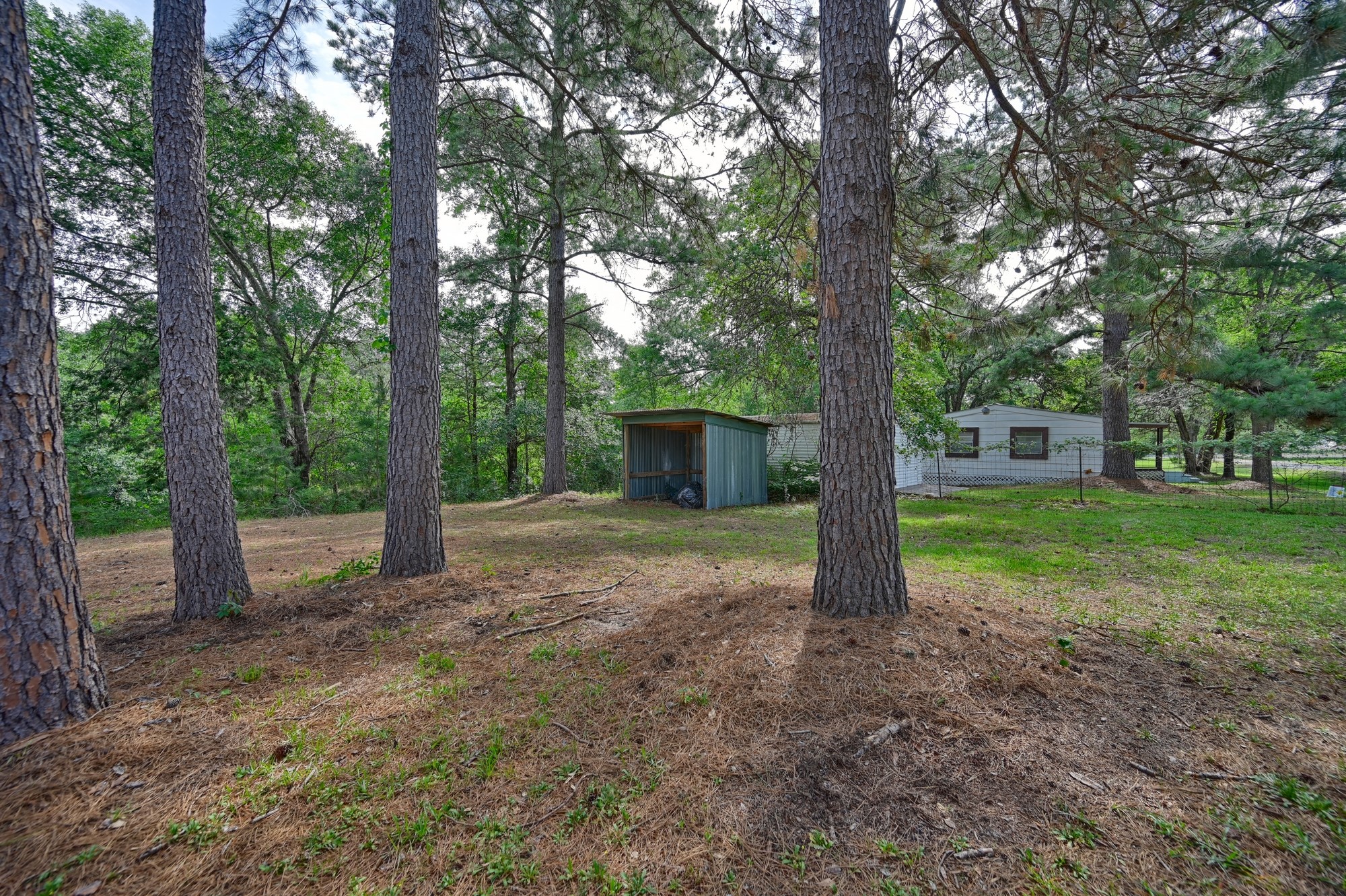 11200 Leisure Road Brenham, TX 77833 - Photo 7 of 23 a view of a yard with large trees