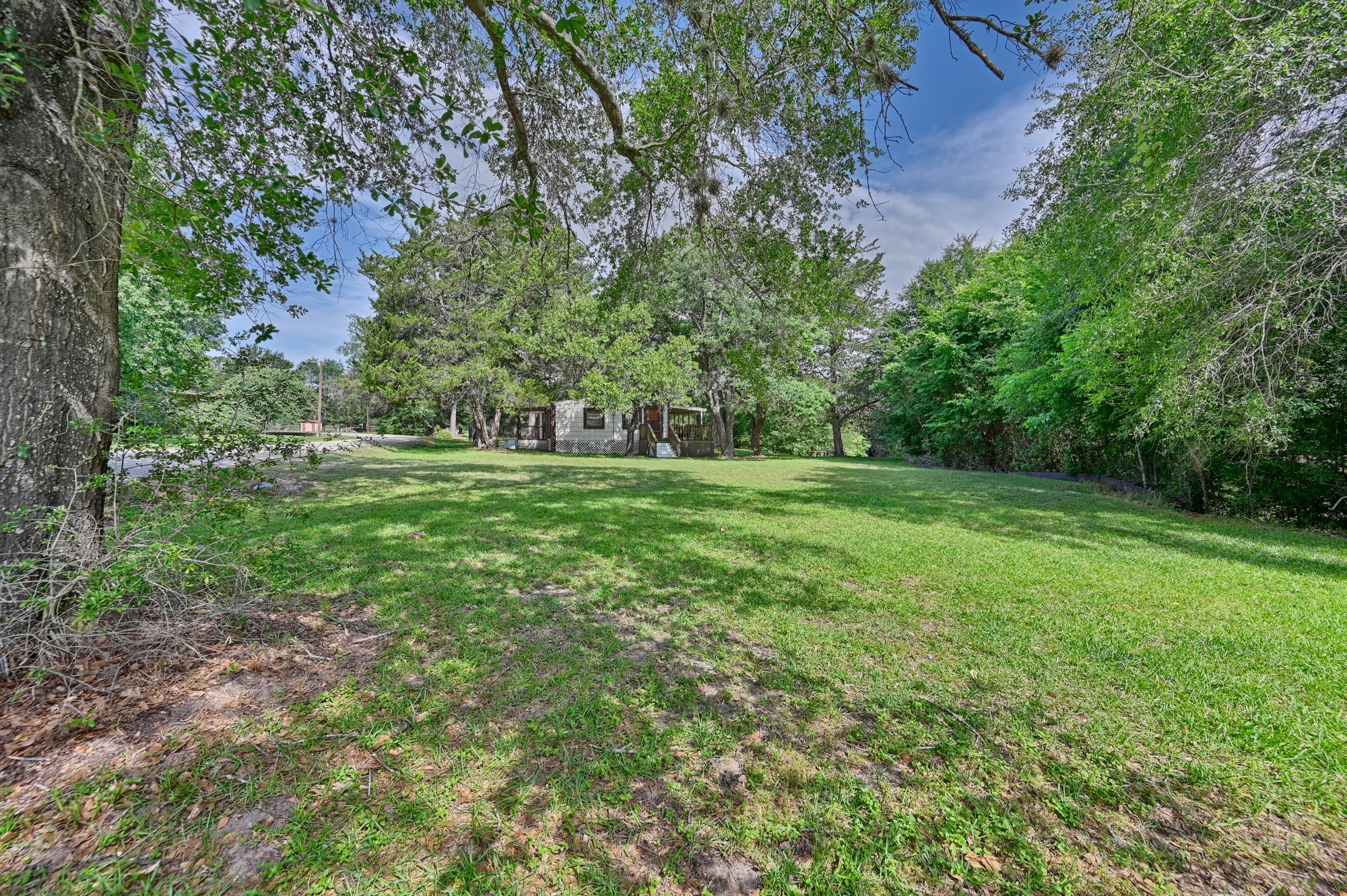 11200 Leisure Road Brenham, TX 77833 - Photo 10 of 23 a big yard with lots of green space and deers