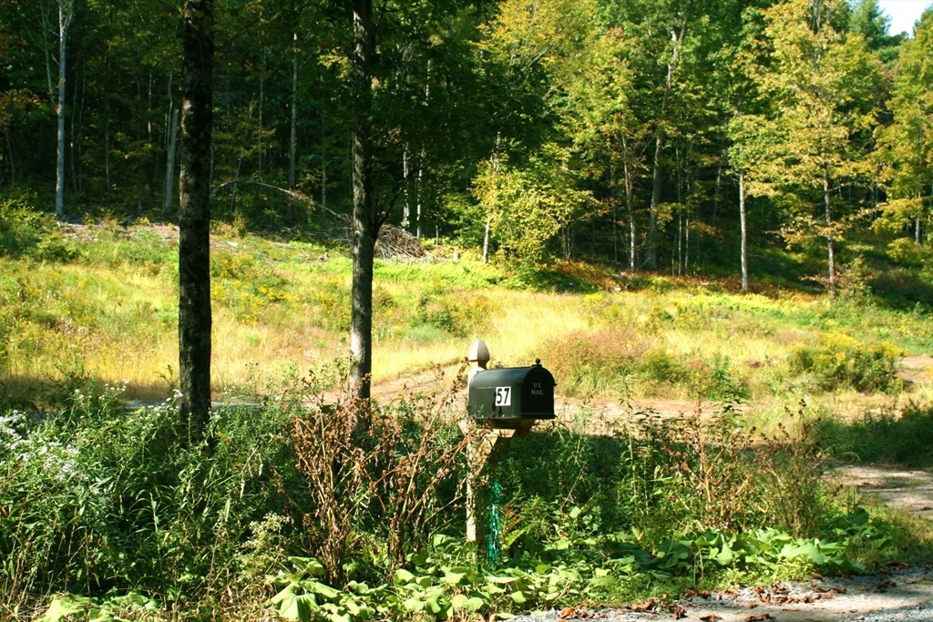 57 Ben Hale Road Gill, MA 01354 - Photo 2 of 6 Gallery Image 2