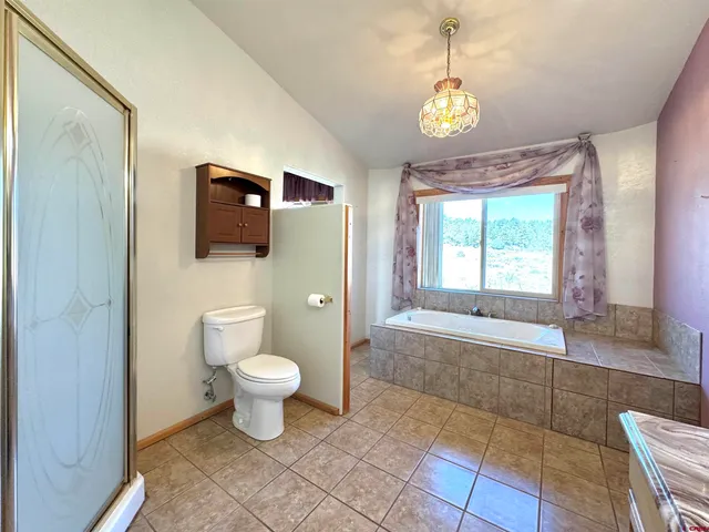 a bathroom with a sink a toilet and a shower