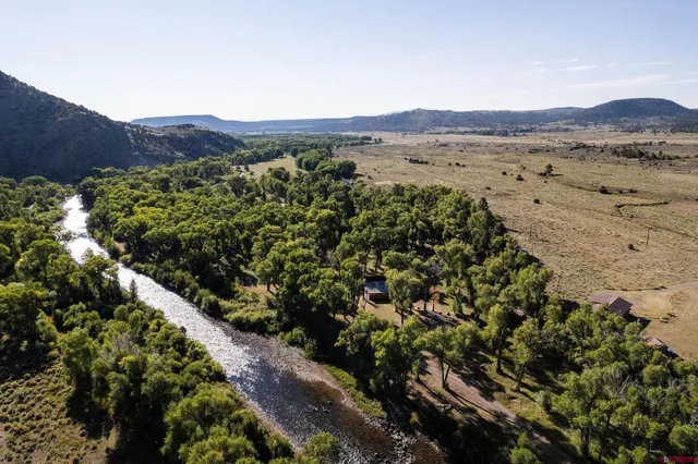 a view of a lush green hillside and a houses