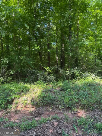 $6,000 | Pocahontas Stre Pocahontas Street, Jackson, GA 30233