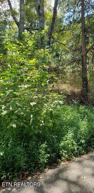 5 Treeline Drive Dunlap, TN 37327 - Photo 3 of 9 3