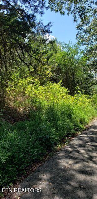 5 Treeline Drive Dunlap, TN 37327 - Photo 6 of 9 6