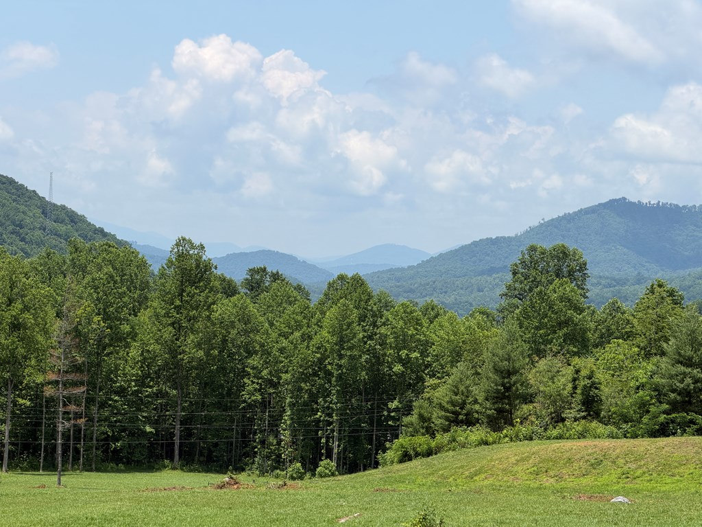 1446 Muskrat Creek Road Hayesville, NC 28904 - Photo 91 of 108