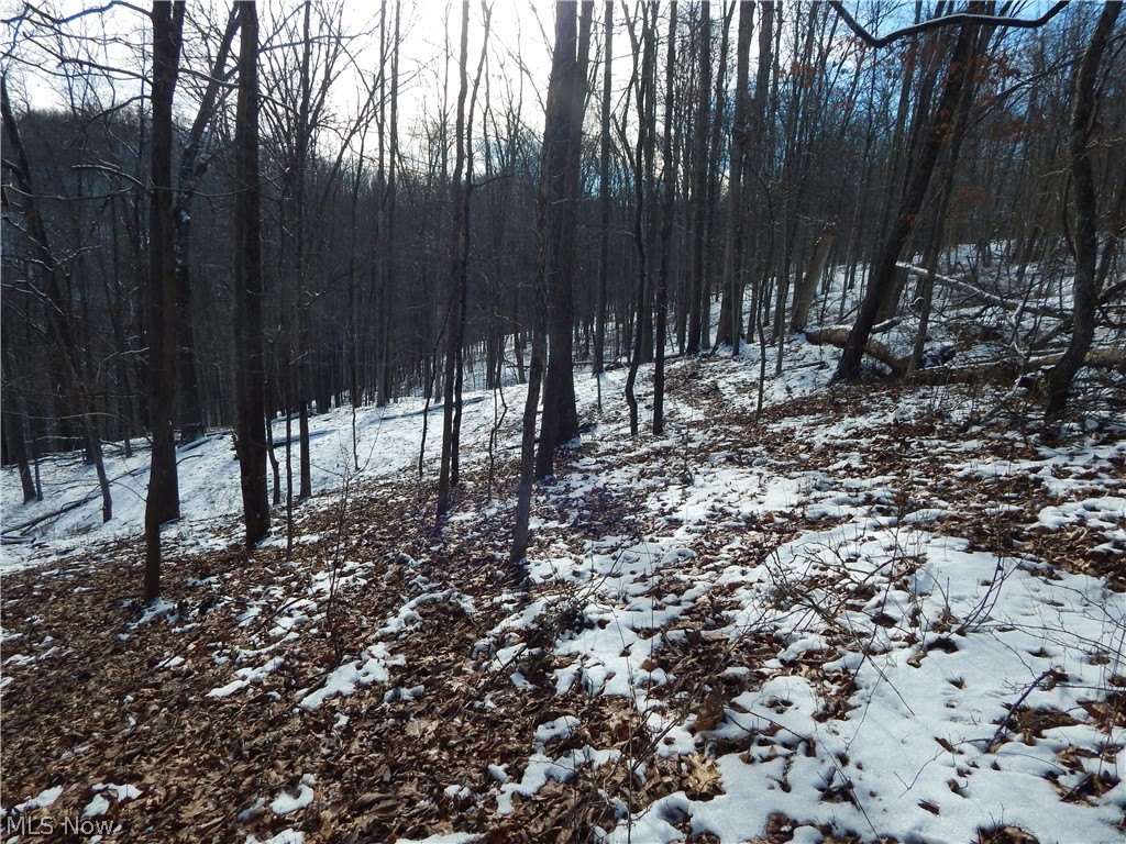 0 Hazelgreen Road Smithville, WV 26178 - Photo 23 of 23