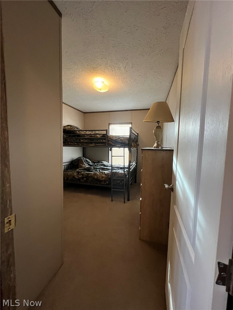 53720 Highway 681 Reedsville, OH 45772 - Photo 15 of 25 Bedroom featuring wall-to-wall carpeting, a window with horizontal blinds, and a ceiling-mounted light fixture