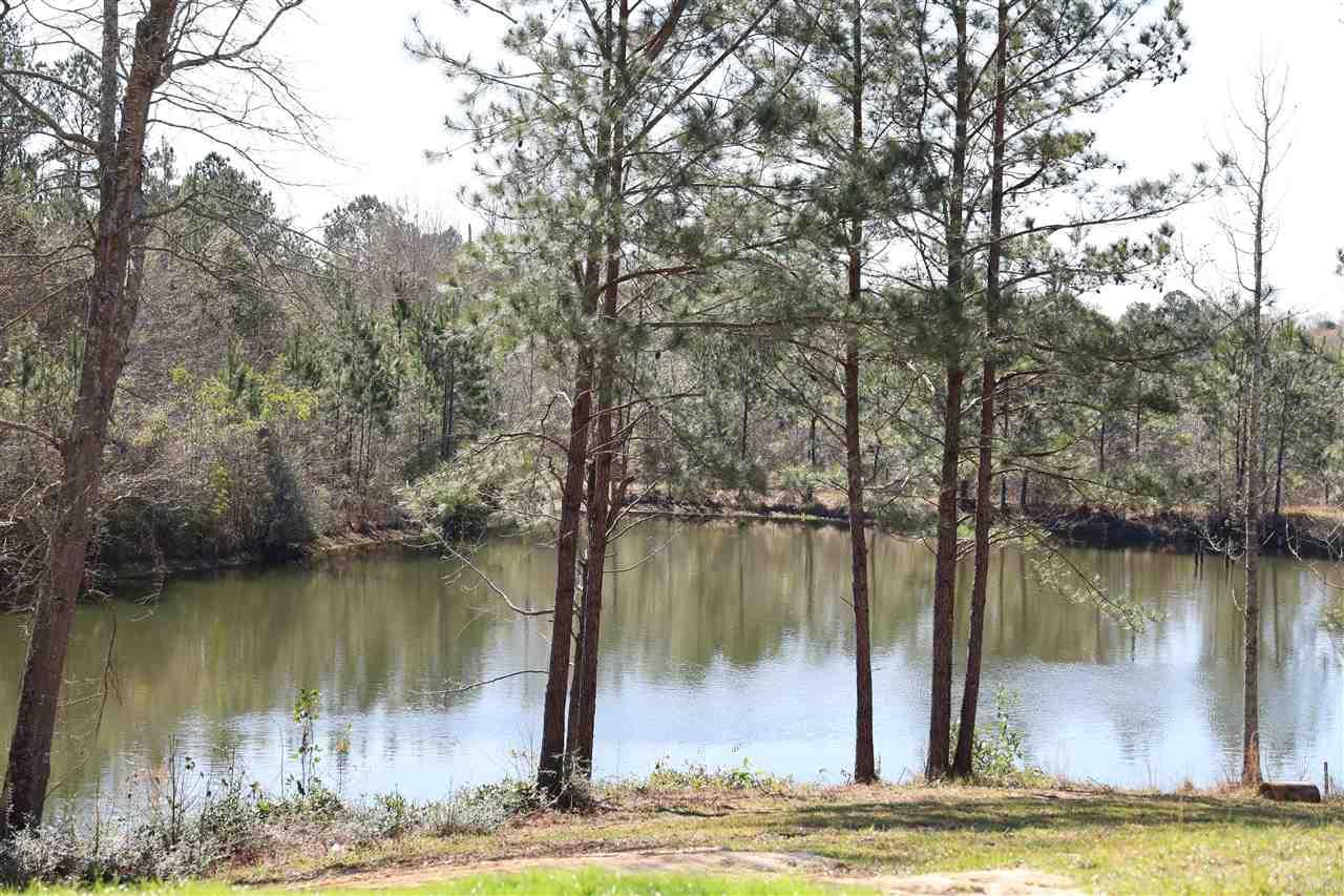 1700 Buck Smith Road Century, FL 32535 - Photo 11 of 33