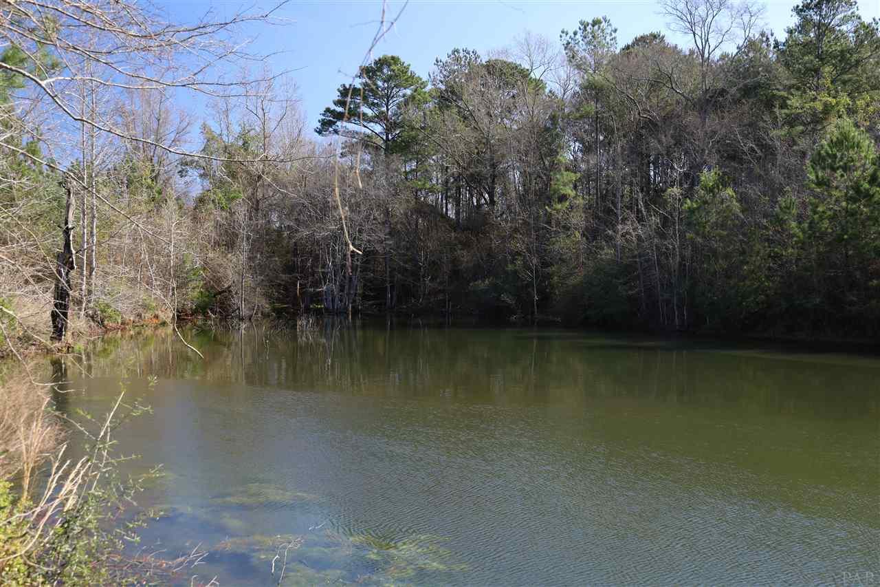 1700 Buck Smith Road Century, FL 32535 - Photo 12 of 33