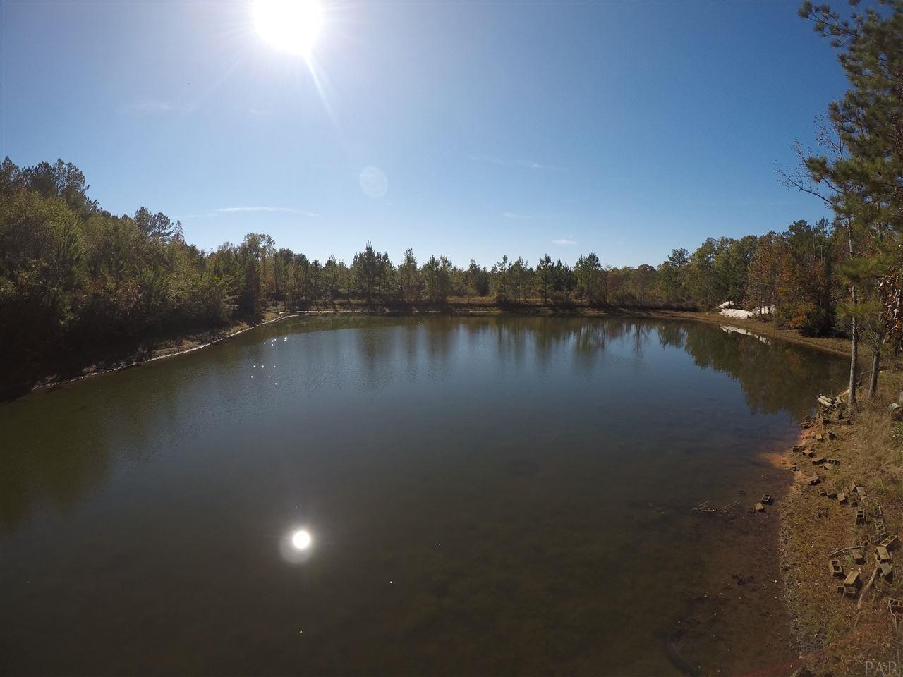 1700 Buck Smith Road Century, FL 32535 - Photo 16 of 33