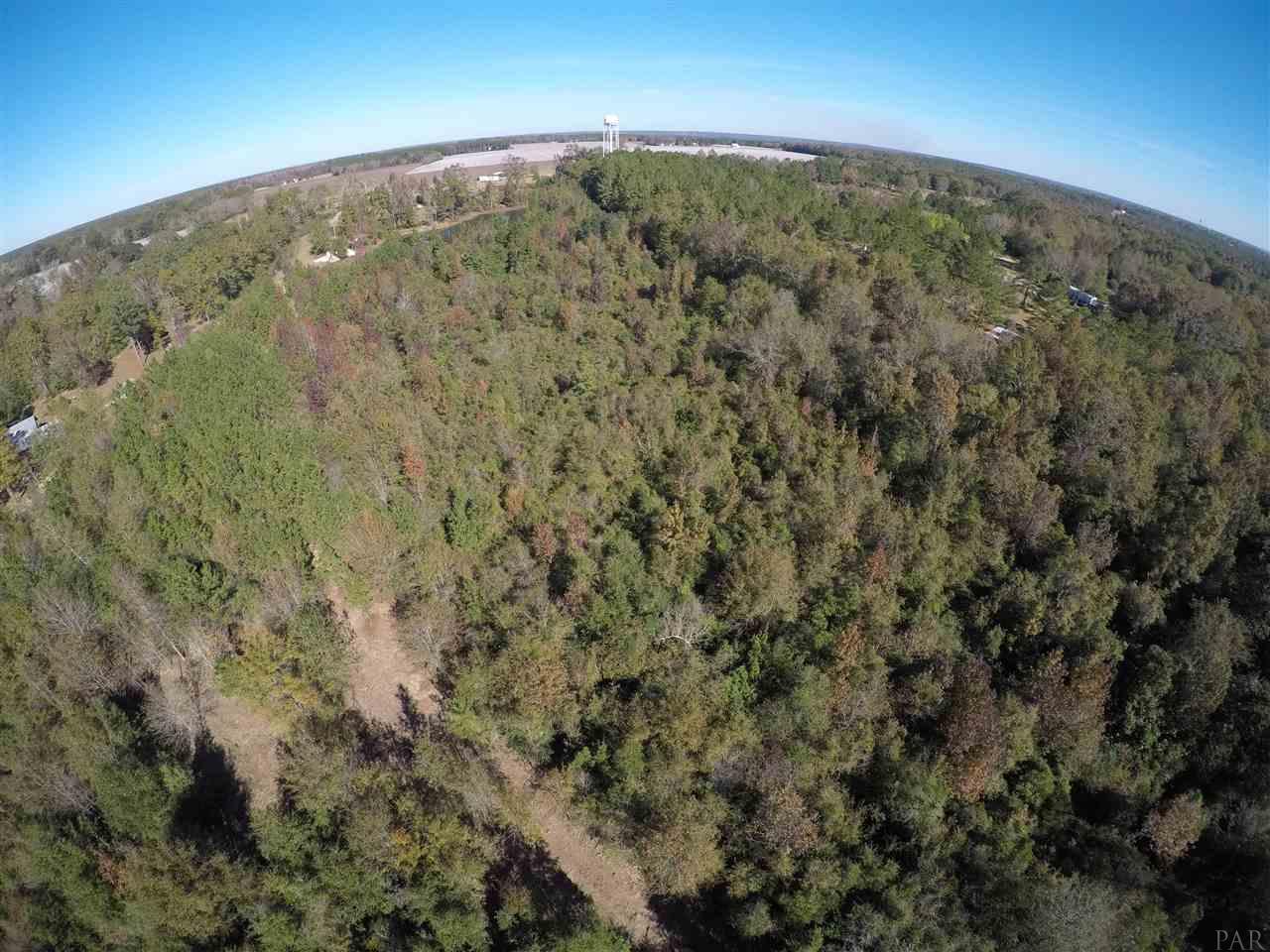 1700 Buck Smith Road Century, FL 32535 - Photo 19 of 33