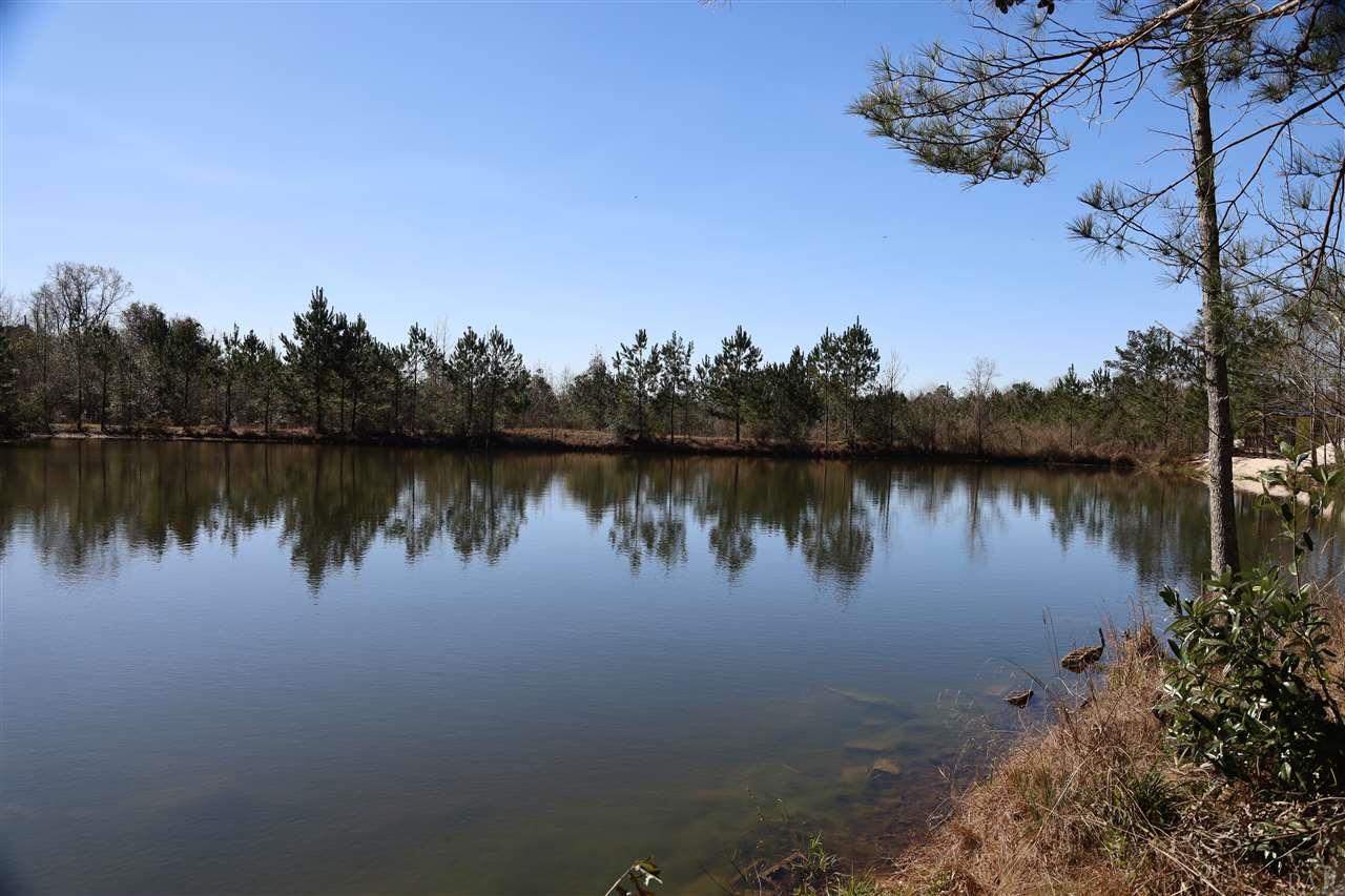 1700 Buck Smith Road Century, FL 32535 - Photo 25 of 33