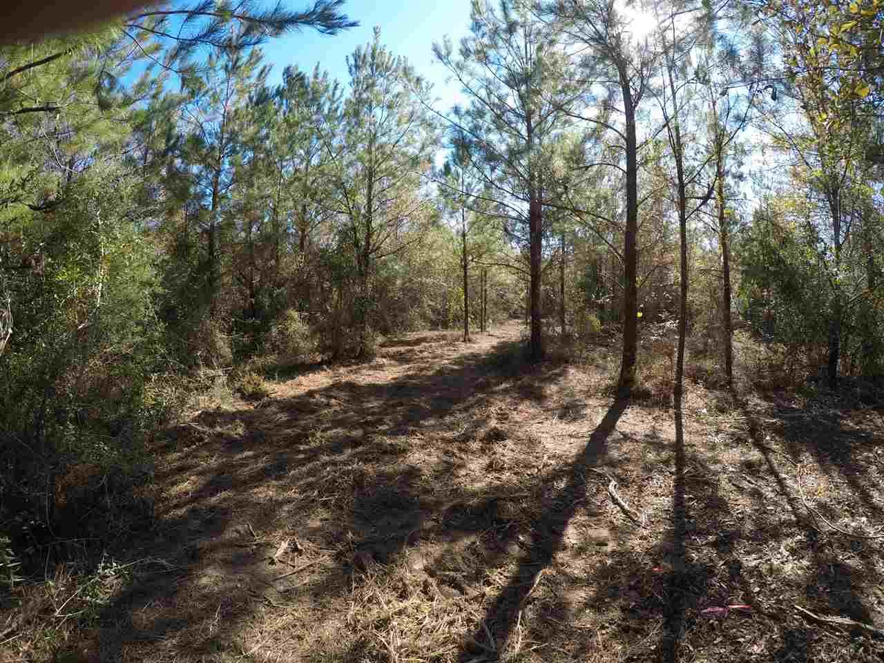 1700 Buck Smith Road Century, FL 32535 - Photo 27 of 33