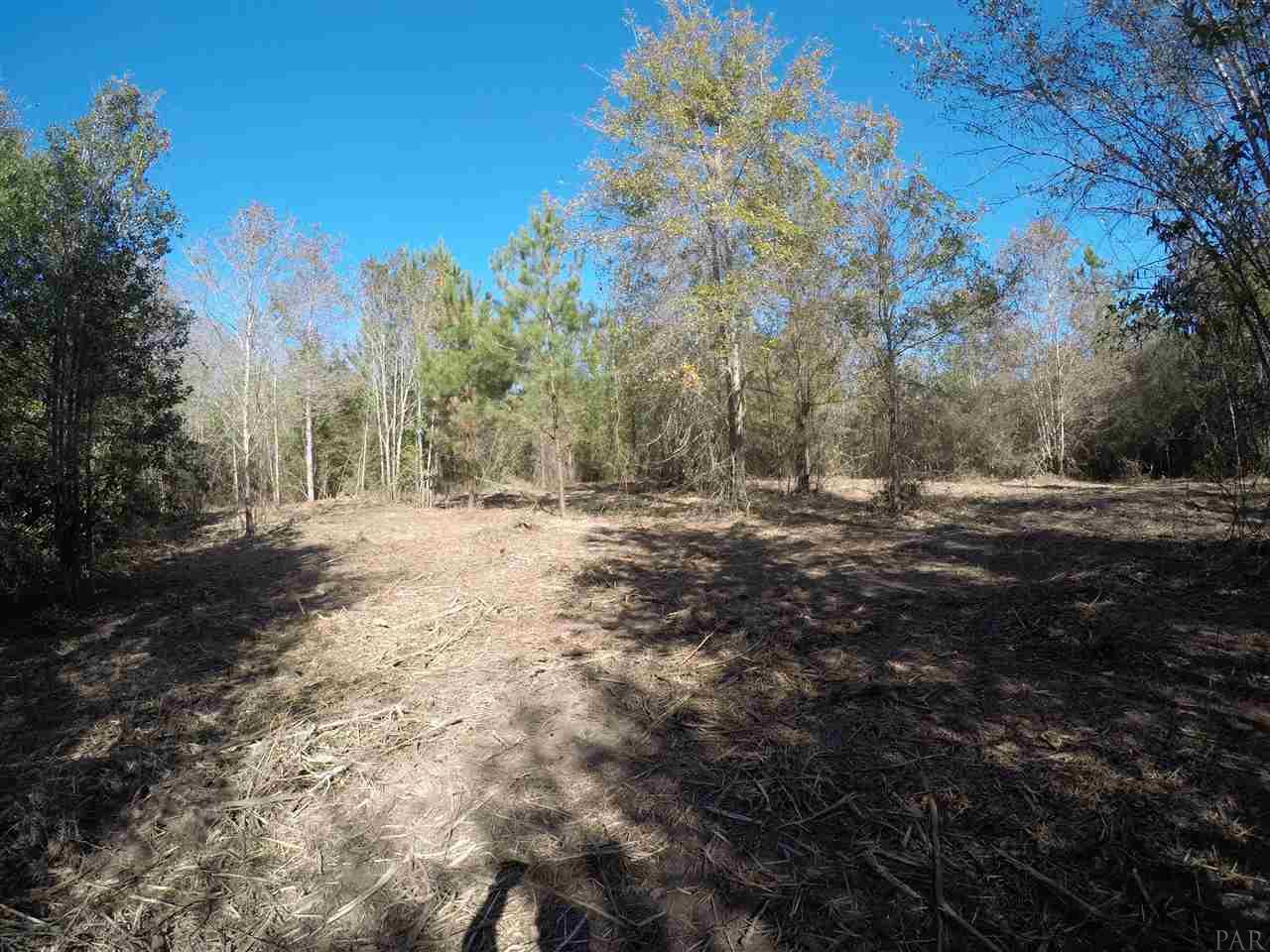 1700 Buck Smith Road Century, FL 32535 - Photo 28 of 33