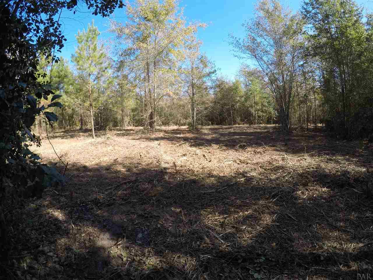 1700 Buck Smith Road Century, FL 32535 - Photo 29 of 33