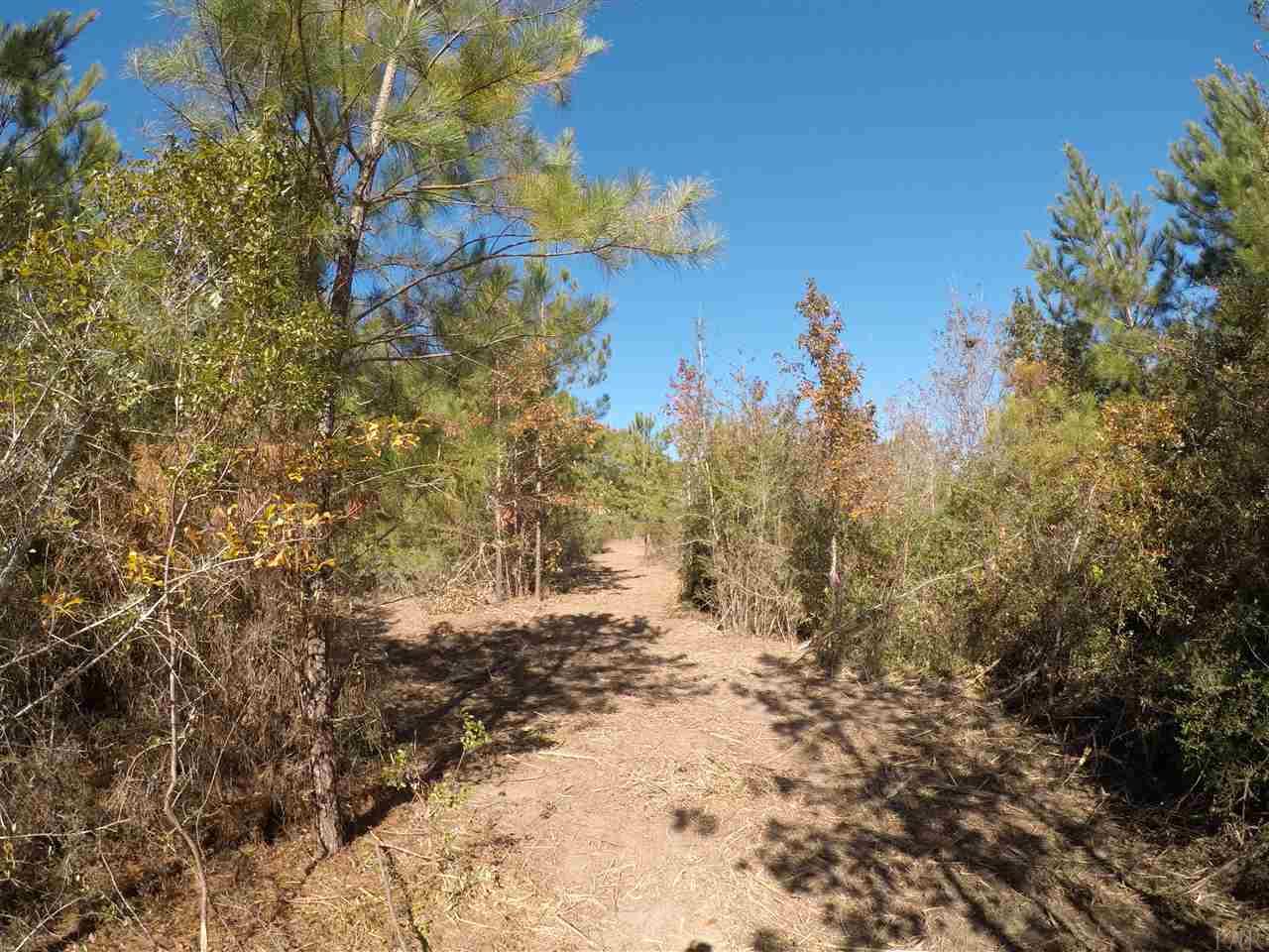 1700 Buck Smith Road Century, FL 32535 - Photo 30 of 33