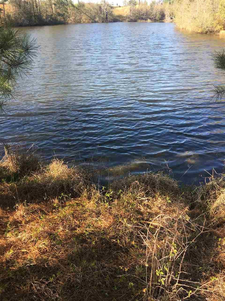 1700 Buck Smith Road Century, FL 32535 - Photo 33 of 33