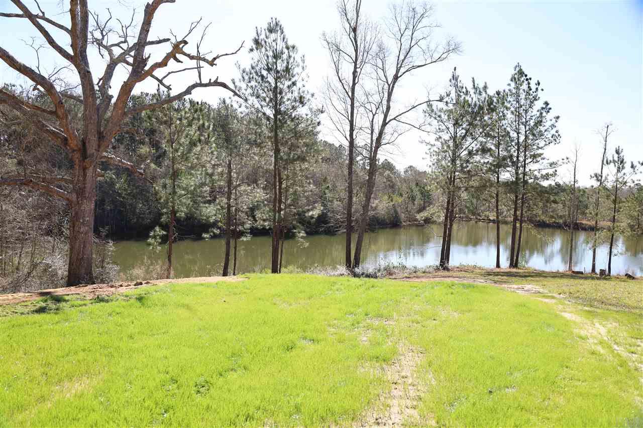 1700 Buck Smith Road Century, FL 32535 - Photo 8 of 33