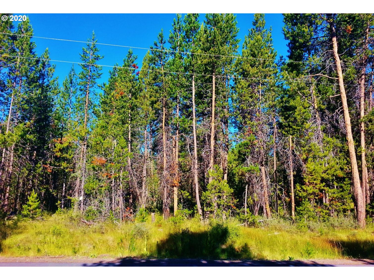 56247 Eider Road Bend, OR 97707 - Photo 1 of 9