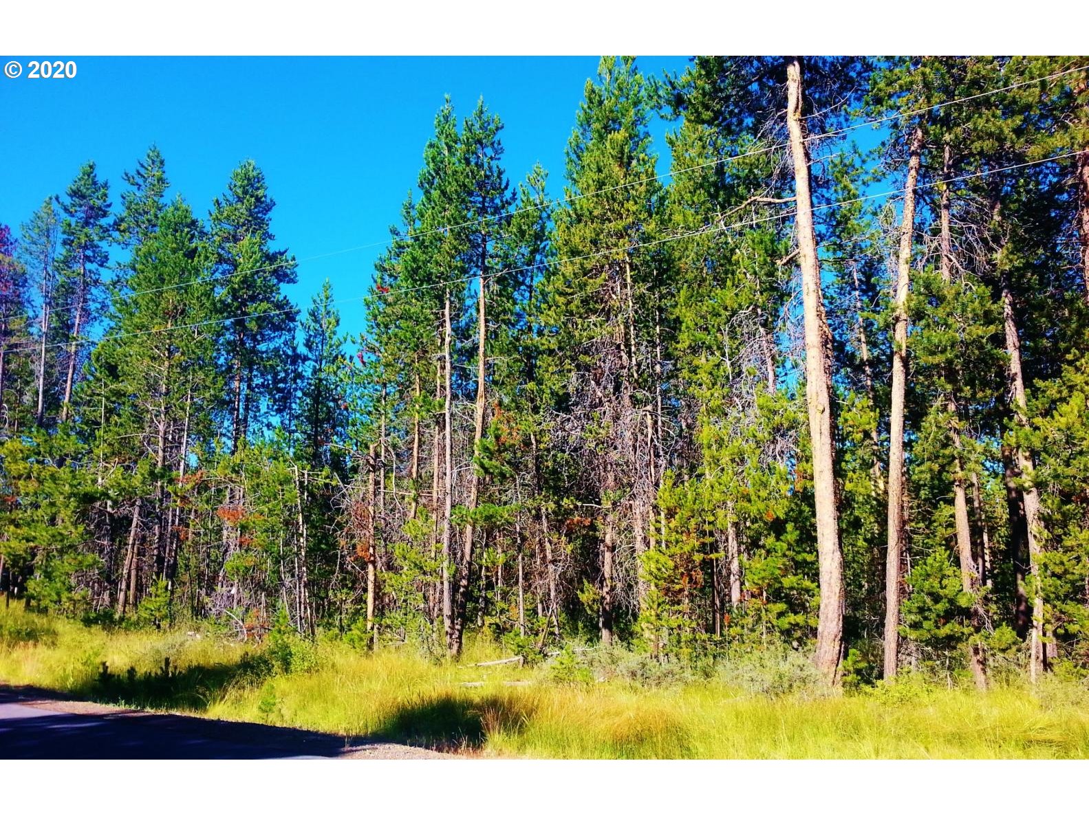 56247 Eider Road Bend, OR 97707 - Photo 2 of 9