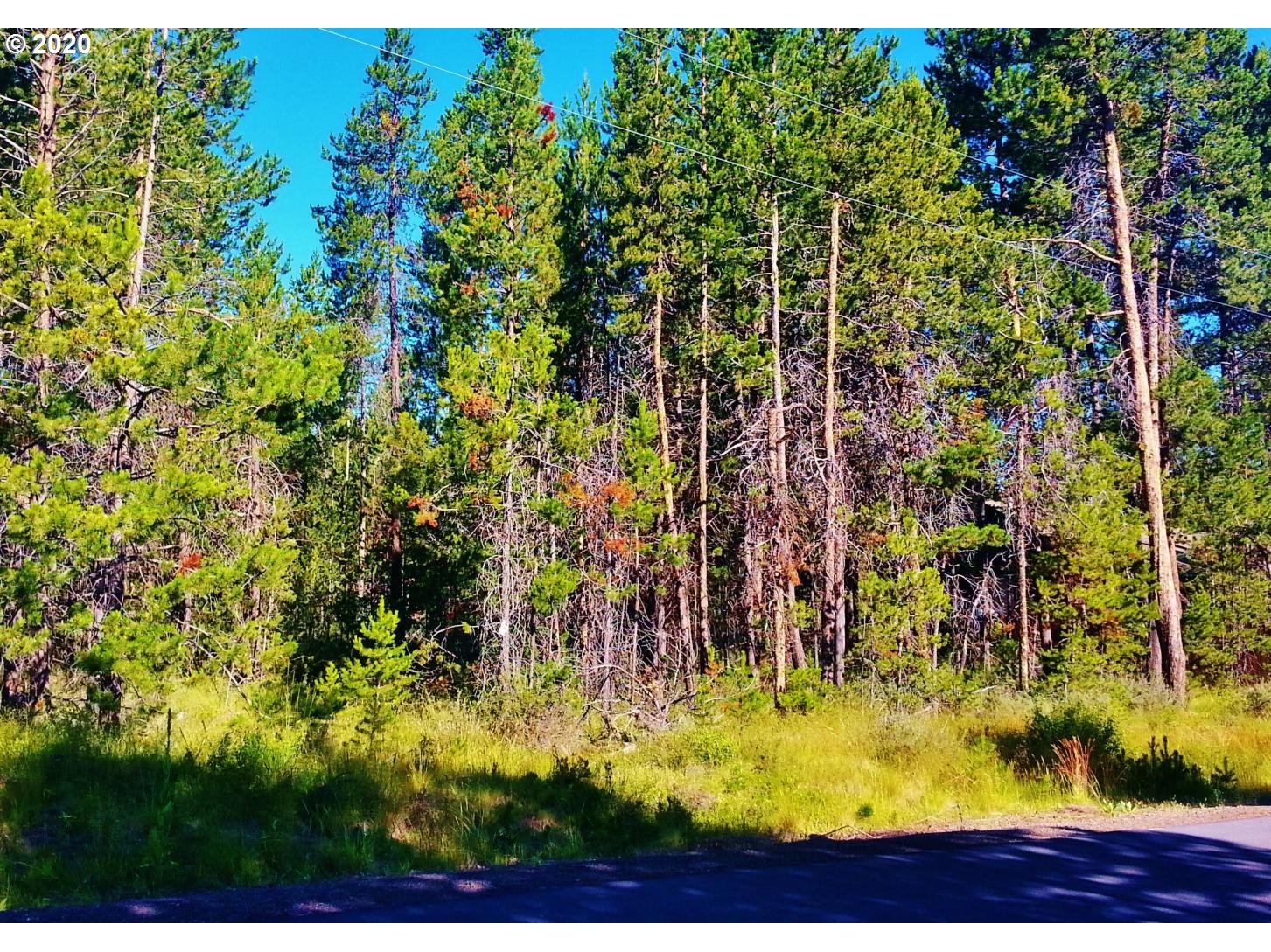 56247 Eider Road Bend, OR 97707 - Photo 3 of 9