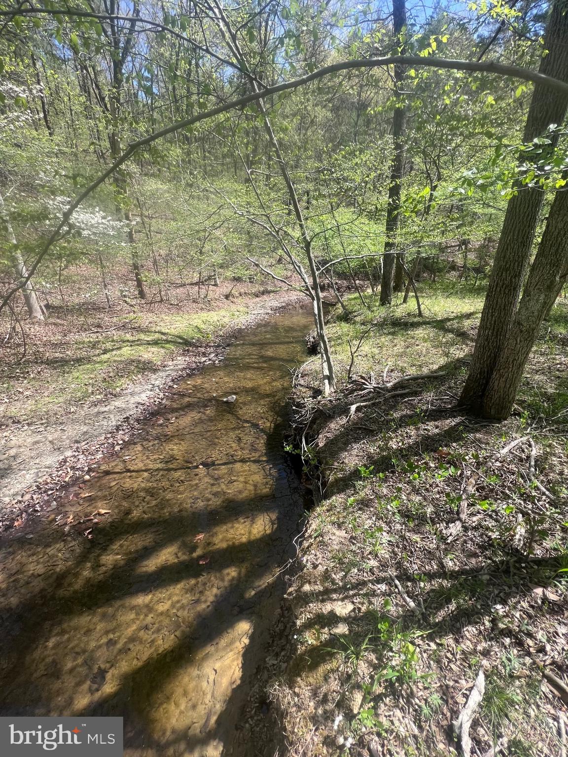 1175 T-Bird Drive Front Royal, VA 22630 - Photo 19 of 61