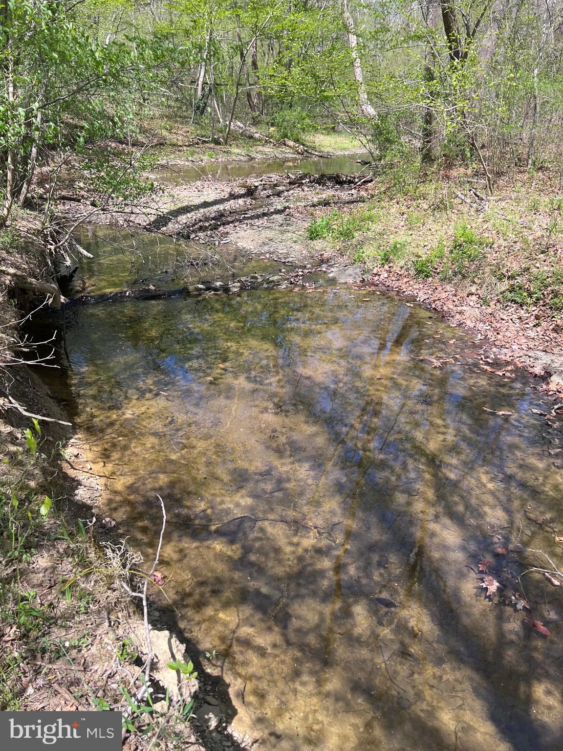 1175 T-Bird Drive Front Royal, VA 22630 - Photo 20 of 61