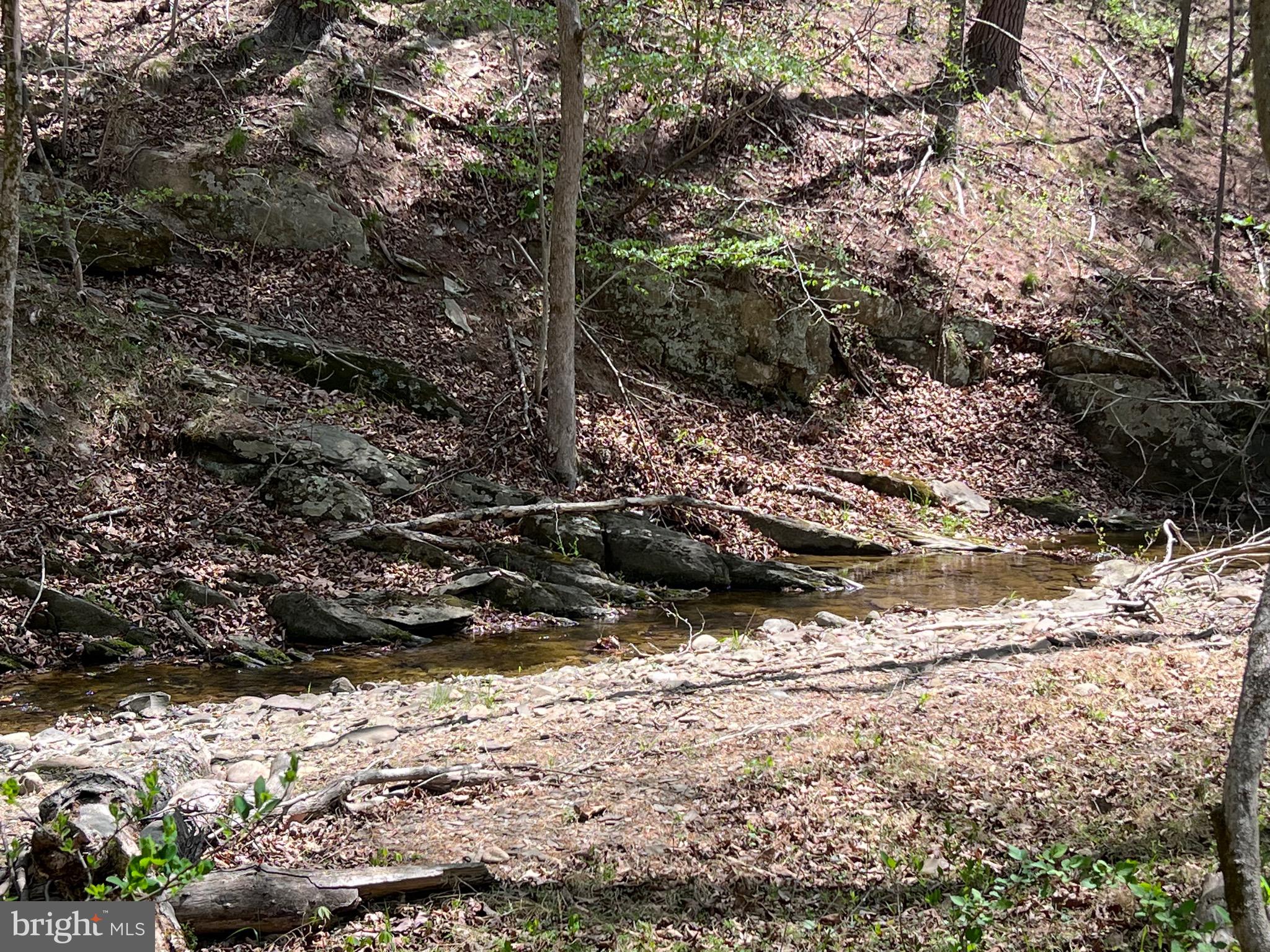 1175 T-Bird Drive Front Royal, VA 22630 - Photo 21 of 61